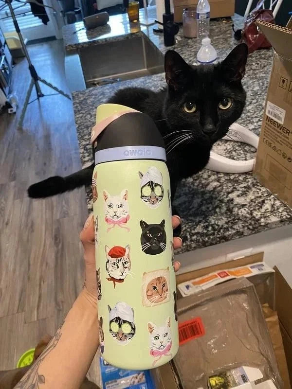 Limited Edition Owala 32 oz FreeSip Catwala Bottle – Exclusive Cat Collage Design