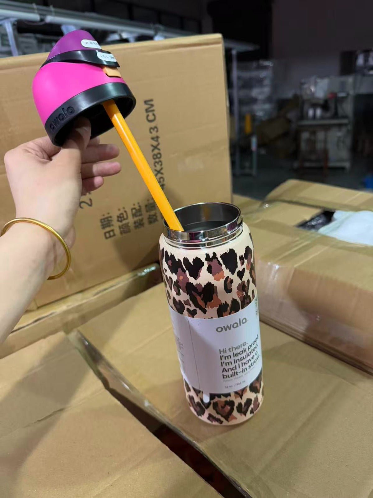 Owala FreeSip 32 oz Water Bottle – Wild At Heart UO Cheetah Leopard Print